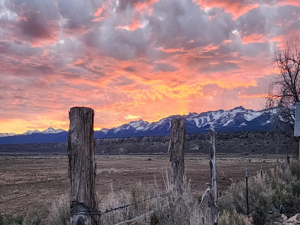 Desert fence post in front of a snowy mountain at sunset.